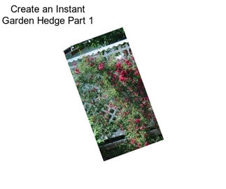 Create an Instant Garden Hedge Part 1