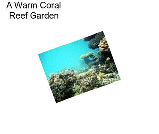 A Warm Coral Reef Garden