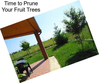 Time to Prune Your Fruit Trees