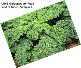 A to Z Gardening for Food and Nutrition: Vitamin A