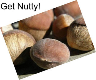 Get Nutty!