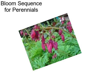 Bloom Sequence for Perennials