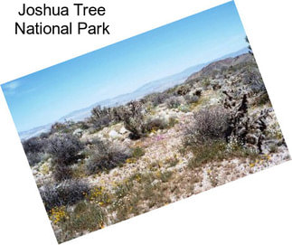 Joshua Tree National Park