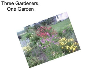 Three Gardeners, One Garden