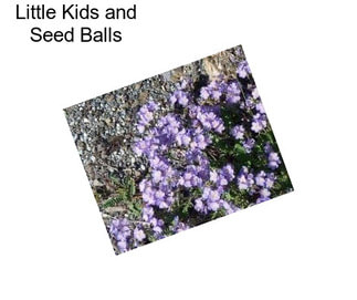 Little Kids and Seed Balls