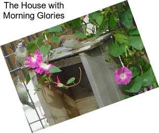 The House with Morning Glories