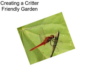 Creating a Critter Friendly Garden