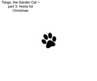 Tango, the Garden Cat ~ part 3: Home for Christmas