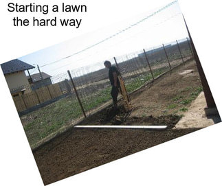 Starting a lawn the hard way