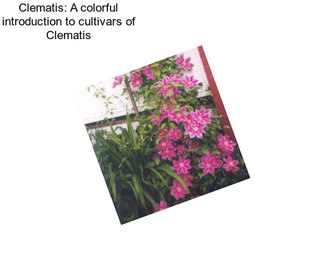 Clematis: A colorful introduction to cultivars of Clematis