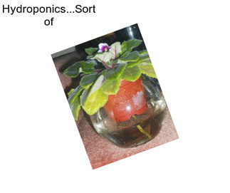 Hydroponics...Sort of