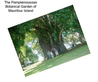 The Pamplemousses Botanical Garden of Mauritius Island