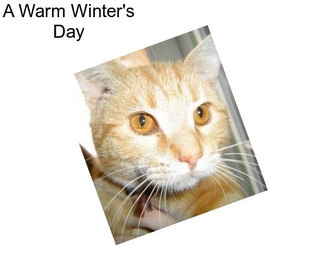 A Warm Winter\'s Day