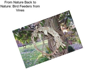 From Nature Back to Nature: Bird Feeders from Vines