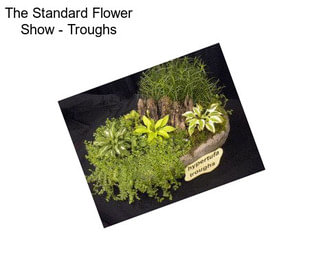 The Standard Flower Show - Troughs