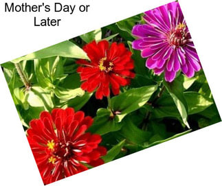 Mother\'s Day or Later