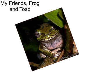 My Friends, Frog and Toad