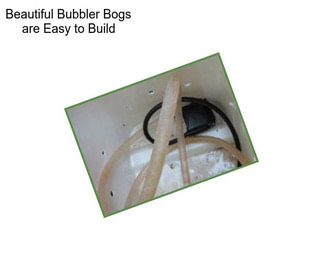 Beautiful Bubbler Bogs are Easy to Build