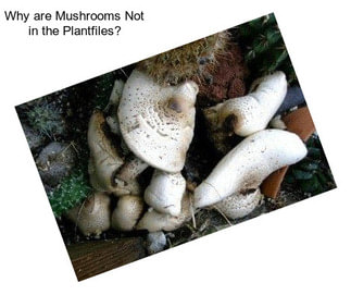 Why are Mushrooms Not in the Plantfiles?