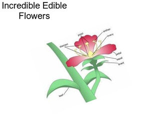 Incredible Edible Flowers