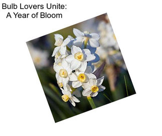 Bulb Lovers Unite: A Year of Bloom