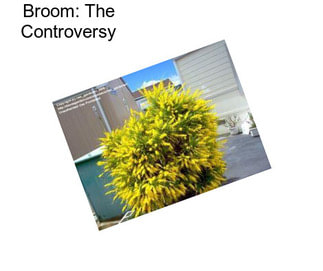 Broom: The Controversy