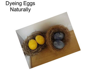 Dyeing Eggs Naturally
