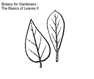 Botany for Gardeners - The Basics of Leaves II