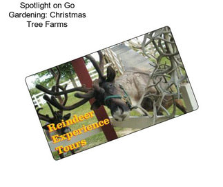 Spotlight on Go Gardening: Christmas Tree Farms