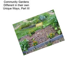 Community Gardens Different in their own Unique Ways, Part III