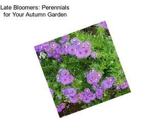 Late Bloomers: Perennials for Your Autumn Garden