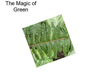 The Magic of Green