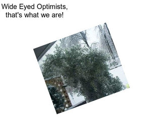 Wide Eyed Optimists, that\'s what we are!