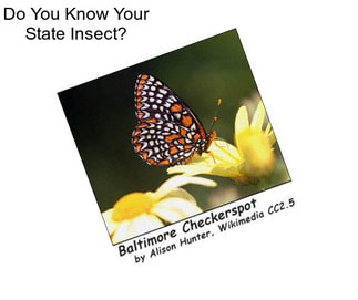 Do You Know Your State Insect?