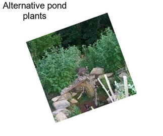 Alternative pond plants