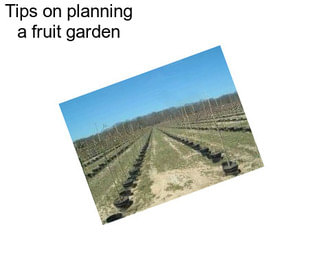 Tips on planning a fruit garden