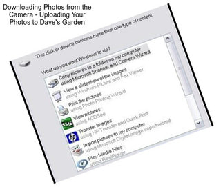 Downloading Photos from the Camera - Uploading Your Photos to Dave\'s Garden