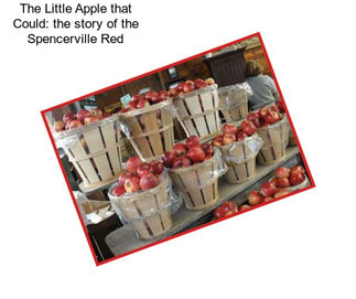The Little Apple that Could: the story of the \