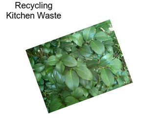 Recycling Kitchen Waste