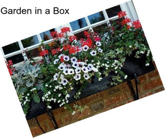 Garden in a Box