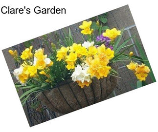 Clare\'s Garden