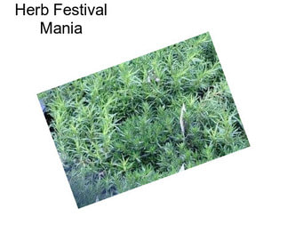 Herb Festival Mania