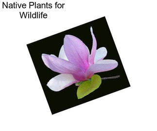 Native Plants for Wildlife