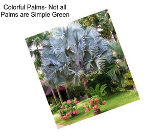 Colorful Palms- Not all Palms are Simple Green