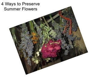 4 Ways to Preserve Summer Flowers