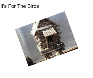 It\'s For The Birds