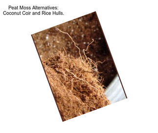 Peat Moss Alternatives: Coconut Coir and Rice Hulls.