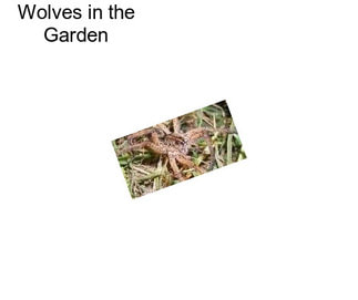 Wolves in the Garden