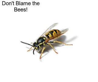 Don\'t Blame the Bees!