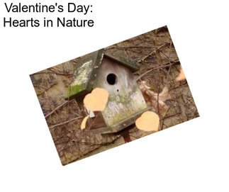 Valentine\'s Day: Hearts in Nature